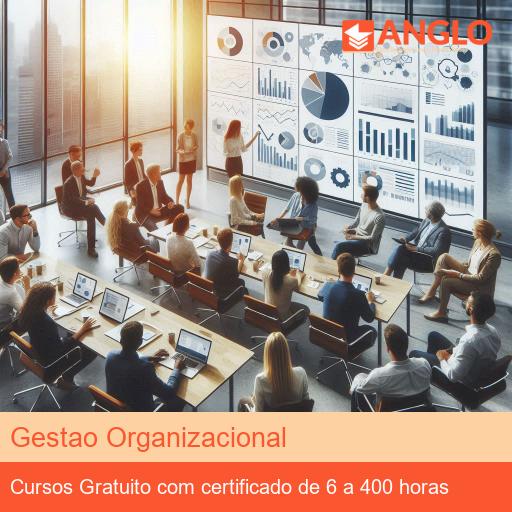 Gestao Organizacional